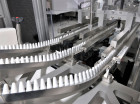 Hinterkopf_F300A_7.jpg