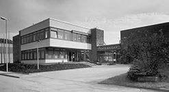 Hinterkopf 1967